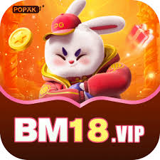 bm18 Pro Latest v2.1.1