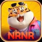 nrnr Mega Gaming App