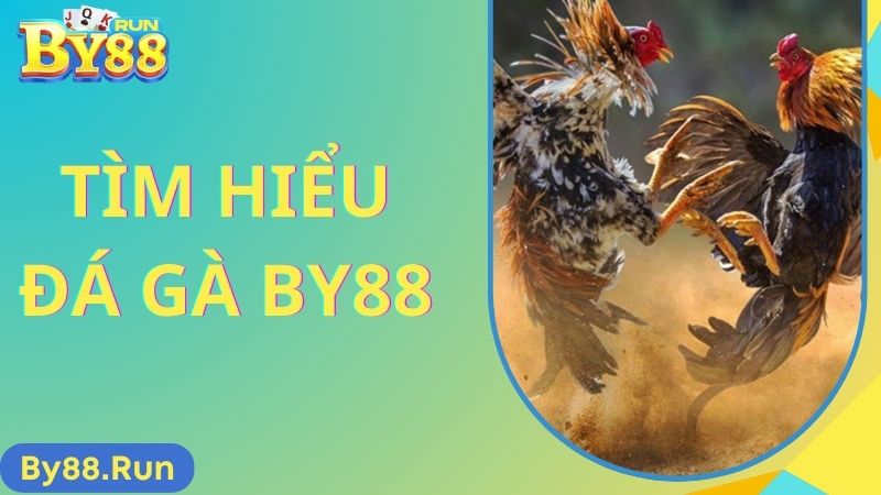 Tìm hiểu về hình thức đá gà by88