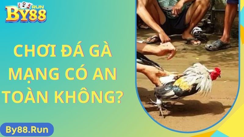 Hình thức đá gà mạng có an toàn không