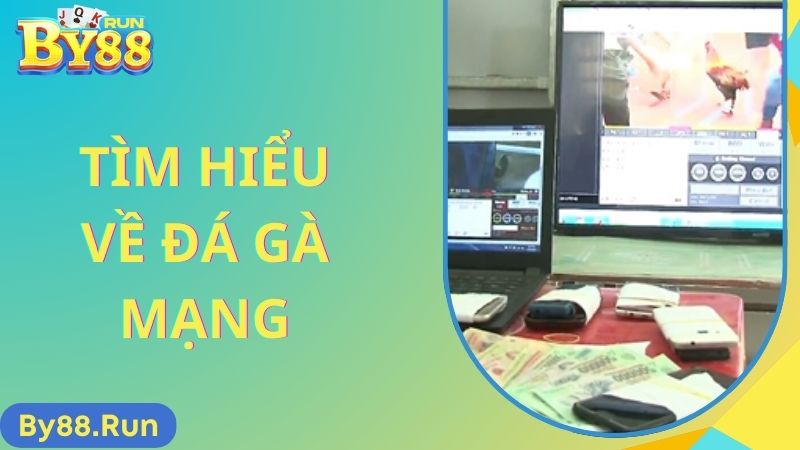 Đá Gà Mạng Là Gì? Có Bị Bắt Khi Chơi Đá Gà Mạng Không?