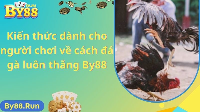 Kiến thức dành cho người chơi về cách đá gà luôn thắng By88