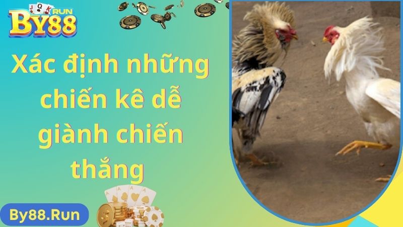 Xác định những chiến kê dễ giành chiến thắng 