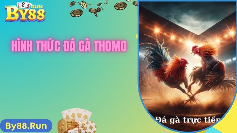 Tổng hợp những hình thức đá gà thomo siêu hấp dẫn