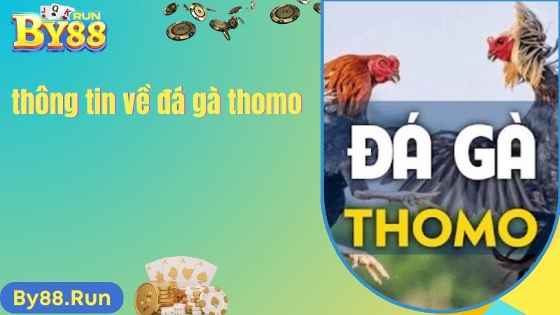 Thông tin chi tiết về đá gà tại đấu trường Thomo